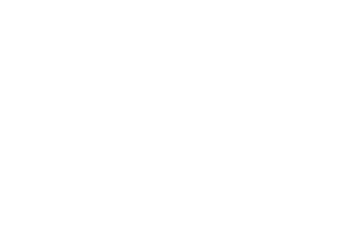 projectfyenite